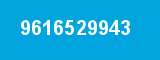 9616529943