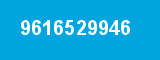 9616529946