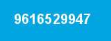 9616529947