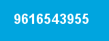 9616543955