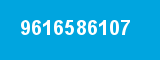 9616586107