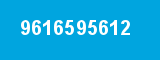 9616595612