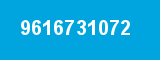 9616731072