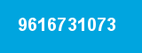 9616731073
