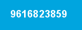 9616823859