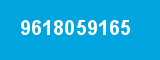 9618059165