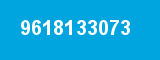 9618133073