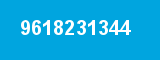 9618231344