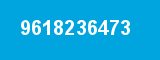 9618236473 9618236473