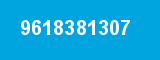 9618381307 9618381307