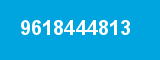 9618444813