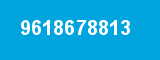 9618678813