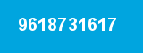 9618731617