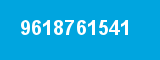 9618761541