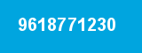 9618771230