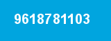 9618781103