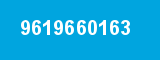 9619660163