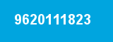 9620111823