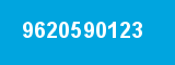 9620590123 9620590123