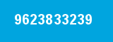 9623833239
