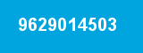 9629014503 9629014503