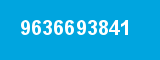 9636693841