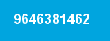 9646381462 9646381462