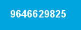 9646629825