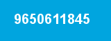 9650611845 9650611845