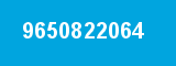 9650822064 9650822064