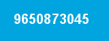 9650873045