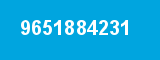 9651884231