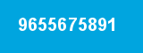 9655675891 9655675891