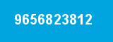 9656823812