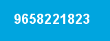 9658221823