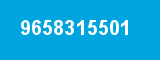 9658315501 9658315501