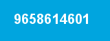 9658614601 9658614601