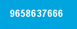 9658637666