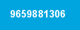 9659881306