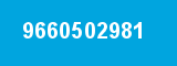 9660502981