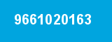 9661020163