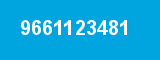 9661123481