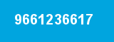9661236617