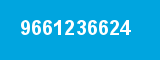 9661236624
