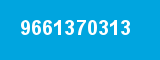9661370313