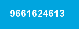 9661624613