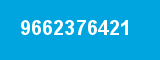 9662376421