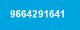 9664291641 9664291641