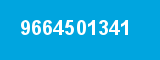 9664501341 9664501341