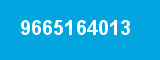 9665164013 9665164013
